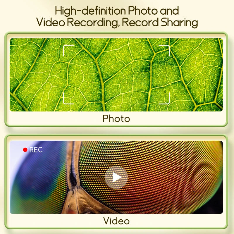 1000X Digital Microscope for Curious Minds